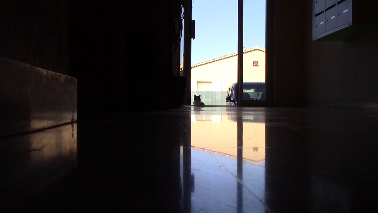 En Attendant le Pape (1-3)