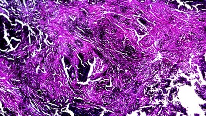 The Serious Challenges Facing The US Health System In This Global Pandemic