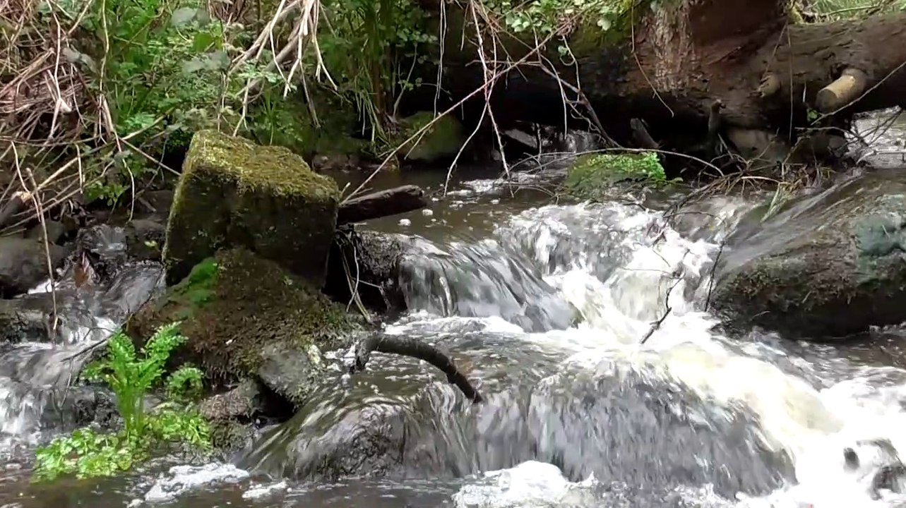 2020 Ecouter la source * Trigone production