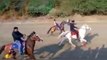 Village Horse racing, Horse racing, Superhit Racing, White Horse Race, Must watch video