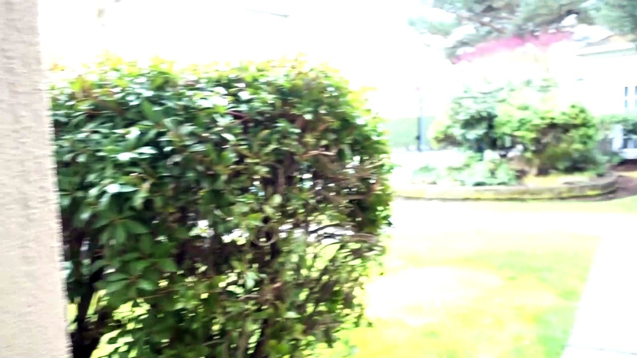 BDMV-119 Aruna Sharma from Suite C202 to Homewood Suites Hilton 4* Lobby Tukwila Seattle WA Feb 13, 2020