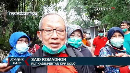 Mengantisipasi Penyebaran Corona, Pemkot Solo Memusnahkan Kelelawar