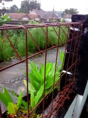 Kereta Senja di Tasik Utara