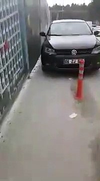 Il grimpe sur les voitures mal garées pour se venger