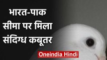 Indo-Pak border पर मिला संदिग्ध Pigeon, पंखों पर लिखा था Lahore तक की दूरी | वनइंडिया हिंदी