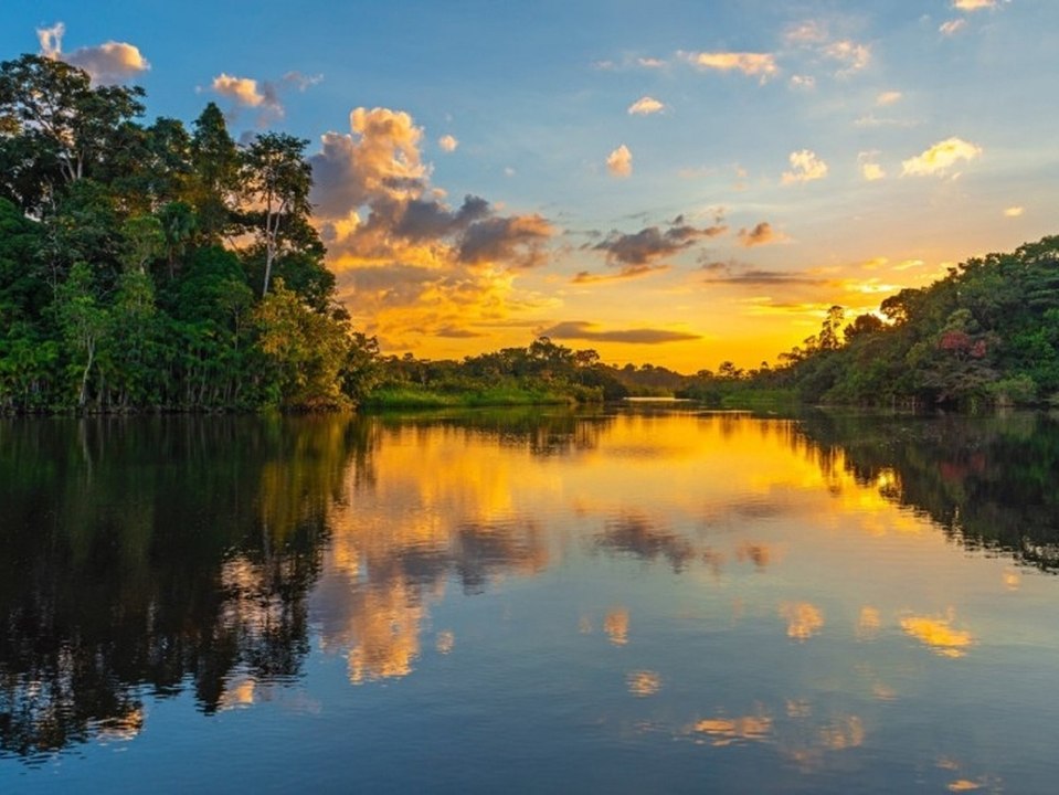 Studie: Amazonas könnte innerhalb von 50 Jahren kollabieren