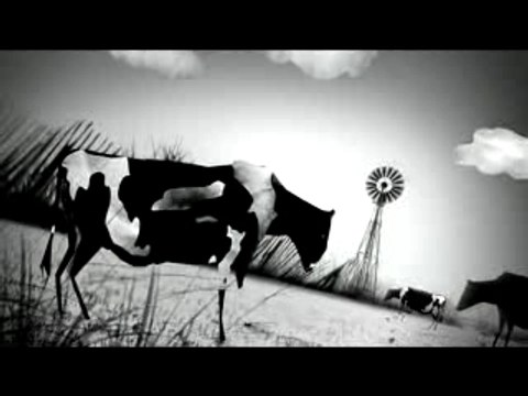 Raveonettes Black/White Sound of Color music video
