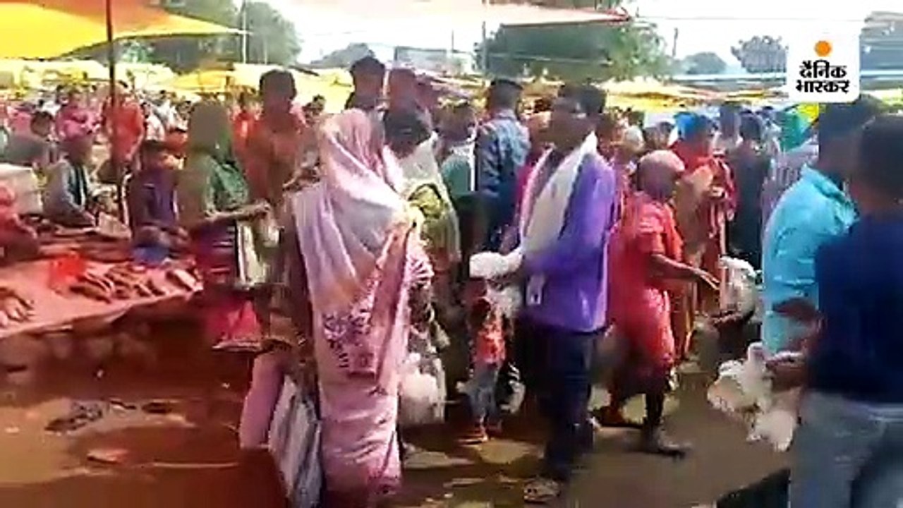 ग्वालियर के गांव में एक ट्रक मुर्गी के चूजे छोड...