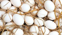 Koronavirüs salgını yumurta sektörüne de darbe vurdu, 6 tavuk çiftliği iflas etti