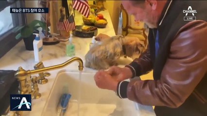 WHO 사무총장 “BTS, 손씻기 챌린지 동참해 달라”