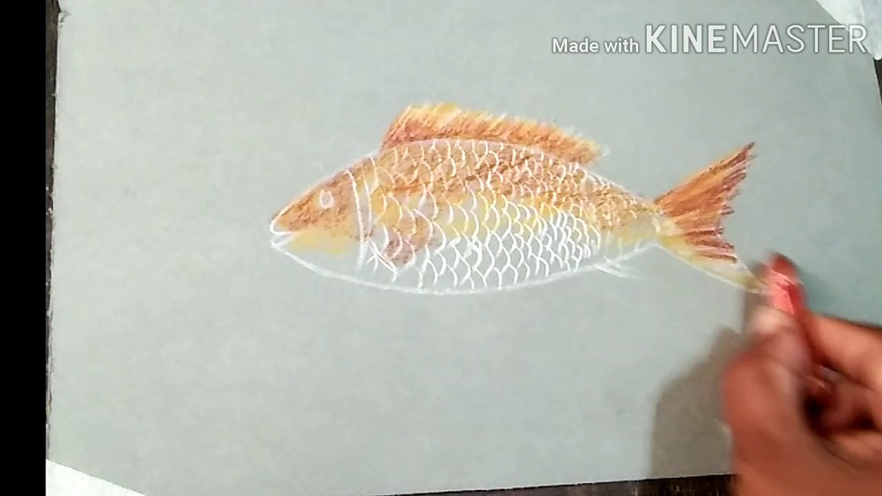 How  to draw and colour a