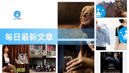 ck101daily_rss-ck101.com.daily|ck101daily_curation_desktop_top-copy4-20200315-19:23