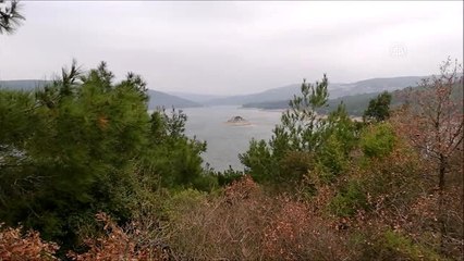 Baraj kıyısında kesik kol bulundu