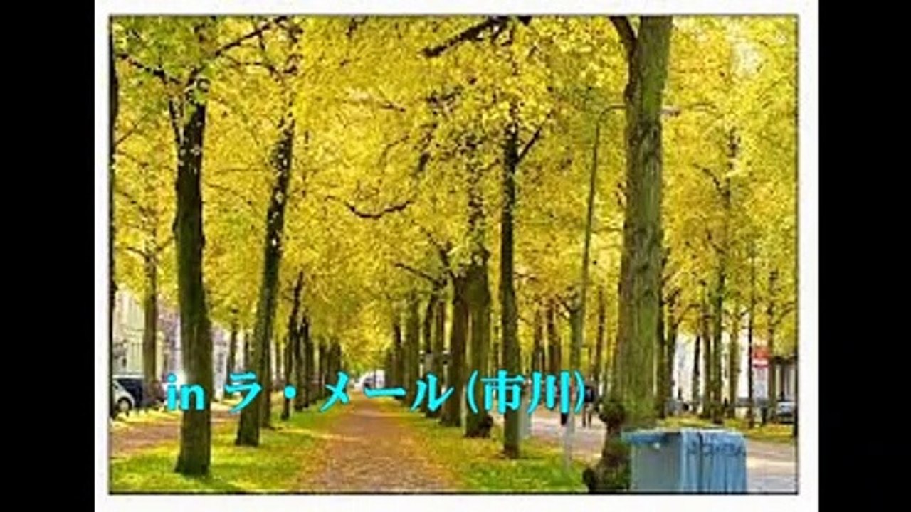 愛の花咲くとき 【愛は人生の軌跡】エンゲルベルト・フンパーディンク (Aman Without Love & Engelbert Humperdinck) シャンソン / 訳詞初稿 Sima