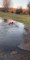 Kid Runs Over Frozen Pond and Falls Inside Cold Water