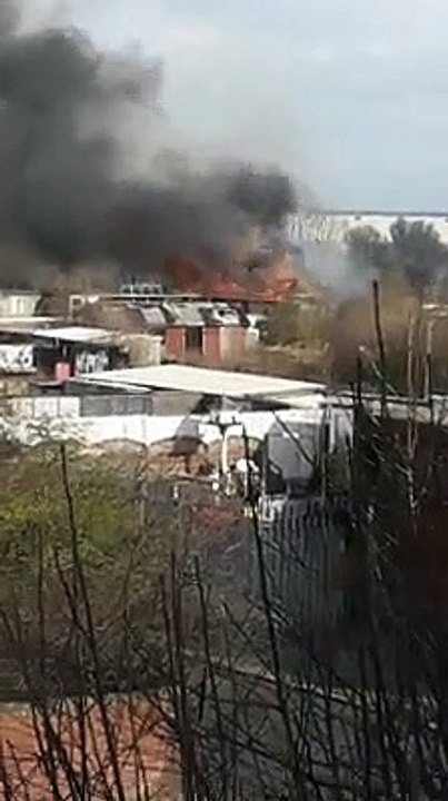 Sunderland allotment damaged by fire