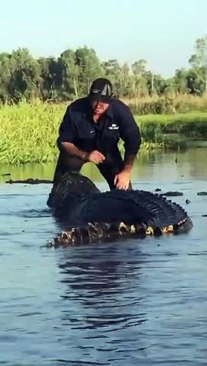 Il fait copain-copain avec un énorme crocodile sauvage