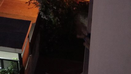 Aplausos al personal sanitario en Mairena del Aljarafe (Sevilla)