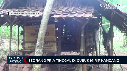 Seorang Pria Tinggal di Gubuk Mirip Kandang