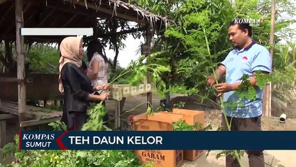 Скачать видео: Teh Daun Kelor