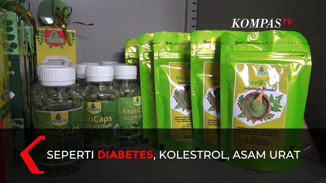 Inspirasi Bisnis Dari Olahan Daun Kelor