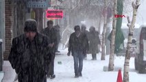 Ardahan'da Mart karı etkili oldu