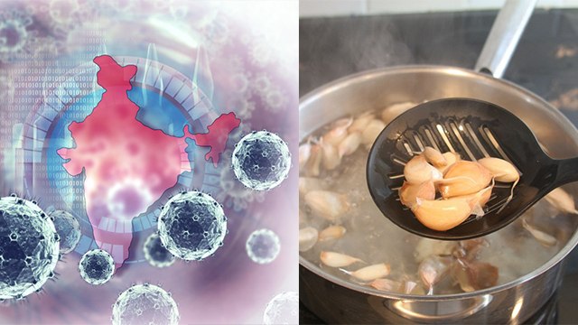 Coronavirus : क्या लहसुन खाने से हो सकता है कोरोना वायरस से बचाव, जानें सच्चाई | Coronavirus Garlic