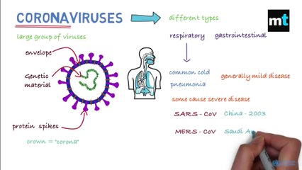 What type of disease is the coronavirus and why should we avoid it.