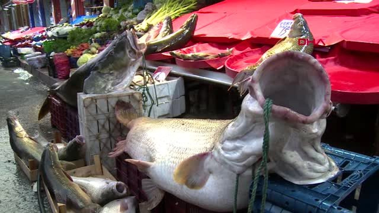 ELAZIĞ Baraj gölünde 2 metrelik turna balığı yakaladılar