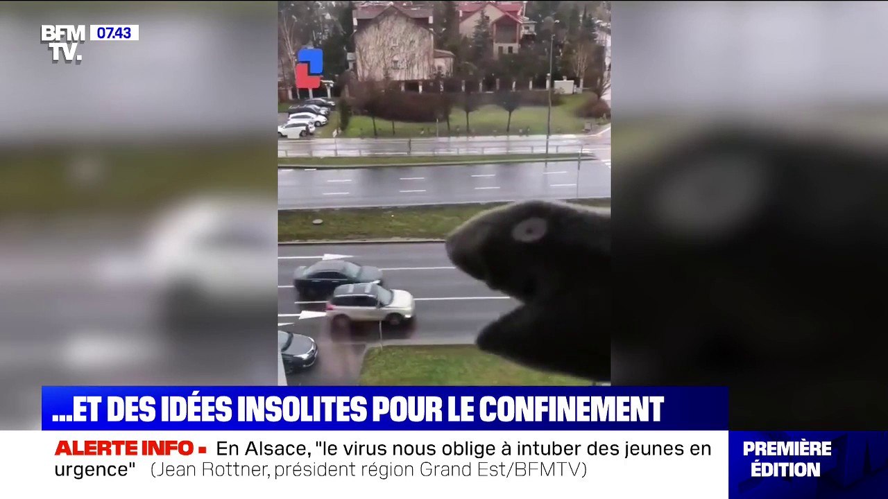 Face au coronavirus, il y a les mauvais comportements, et des idées insolites pour le confinement