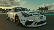 Porsche Top 5 Series - SimRacing facts