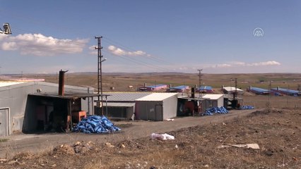 Balışeyh'te üretilen kuluçkalık yumurtalar Rusya'ya ihraç ediliyor - KIRIKKALE