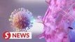 Explainer: How the coronavirus (SARS-CoV-2) infects human cells