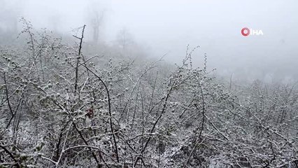 Giresunlu fındık üreticisi yağan mart karı yüzünden endişeli