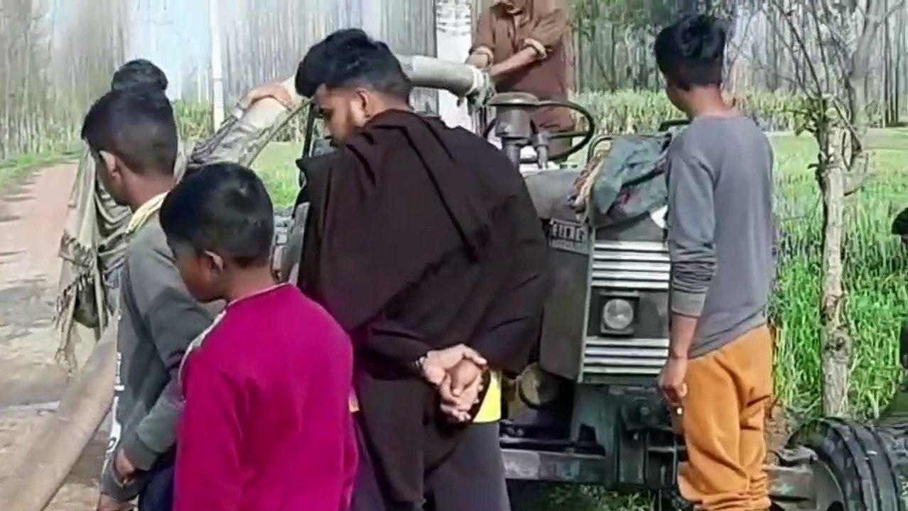 शामली: किसानों के लिए आफत बनी बारिश, सैकड़ों बीघा गेहूं की फसल बर्बाद