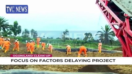 We are being sidelined from Ogoni cleanup - Women