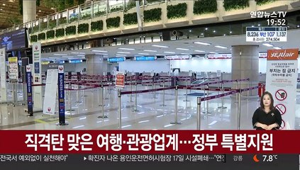 코로나19 직격탄 여행·관광업계…정부 특별지원