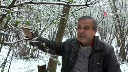 Elazığ'da Bahar Havası, Ağaçlar Çiçek Açtı