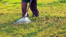How to Spring Clean Your Backyard