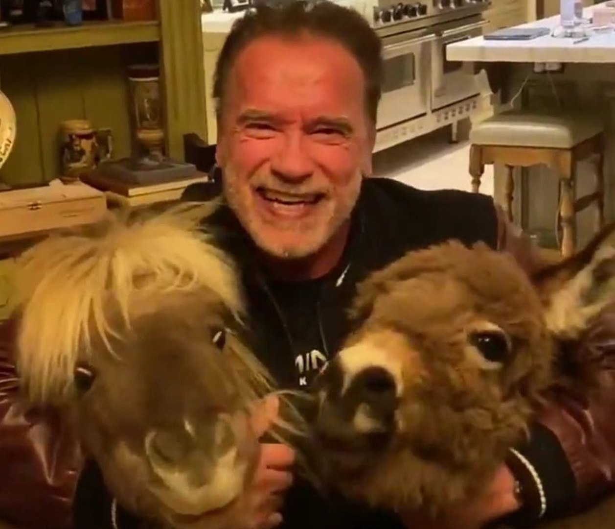 Schwarzenegger