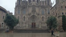 La Catedral de Barcelona recuerda a las víctimas del coronavirus