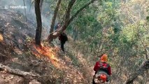 Soldiers battle grass fires in northern Thailand as air pollution soars