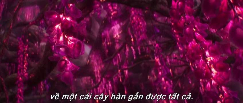 Disney's Jungle Cruise Phim - Emily Blunt, Dwayne Johnson