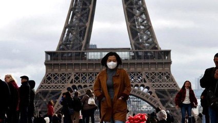 Türkiye'ye gelmek için çağrıda bulunan 300 Türk vatandaşı yarın Fransa'dan hareket edecek