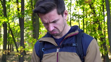 It’s a Collie Holiday  with These Dog-Friendly Escapes!