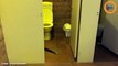 Un kangourou se bat pour du papier toilettes et lutte contre la rupture de stock !