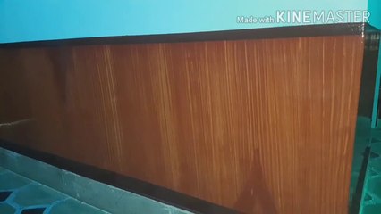 Fake wood grain on the interior walls design