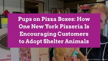 Pups on Pizza Boxes: How One New York Pizzeria Is Encouraging Customers to Adopt Shelter Animals