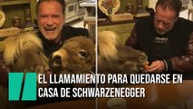 Arnold Schwarzenegger llama a quedarse en casa con un burro y un pony