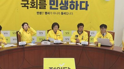 정의당 "비례연합정당, 미래한국당 방식 따라갈 것" / YTN